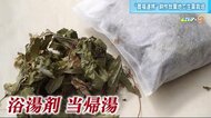 限界集落で薬草を栽培 障がい者とともに癒しの里づくり 広島「百人邑」