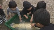 “池の水抜いて”生き物調査　在来種保護のため…“80cm”のコイに子どもは大興奮【福岡発】