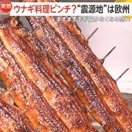【鰻がピンチ？】「廃業も出てくるんじゃないか」EUがワシントン条約で“ウナギ全種類”の国際取引規制案準備　日本は約7割が輸入依存で価格高騰の可能性も