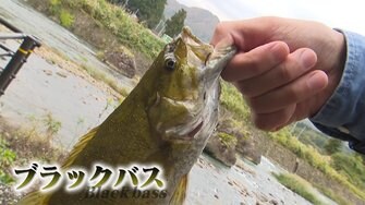 ブラックバスを釣ってポイント溜めるとサービスがあるそば店 ブラックバスターズ を募り川の生態系を守る