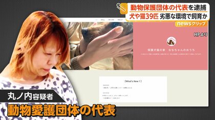 30匹以上の死骸放置…犬や猫39匹に虐待の疑いで動物愛護団体代表の女逮捕　70匹飼っていた時期も…多頭飼育崩壊か　東京・品川区