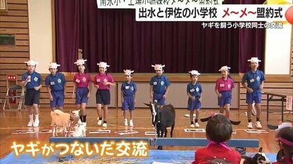 白ヤギを飼う小学校と黒ヤギを飼う小学校の児童たちが「メ～メ～盟約」を締結！？赤ちゃんヤギの命名も【鹿児島発】