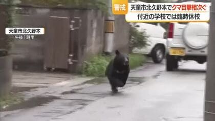 【クマ出没】住宅街で体長80センチのクマ目撃　天童北部小学校・第二中学校で臨時休校　山形・天童市