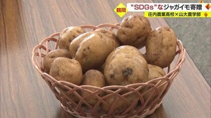 世界注目の研究で病院の「野菜くず」から作った「野菜が病院に戻る」…農業高校生が病院にジャガイモ寄贈【山形発】