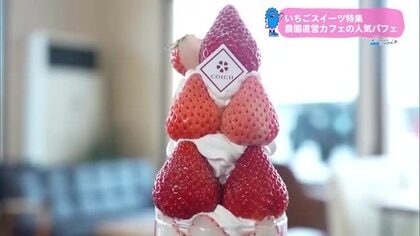 人気店のイチゴスイーツ【トレリン】