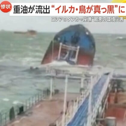 「全身油まみれ」鼻や口の中まで入りぐったりしたイルカ…うずくまる鳥も　タンカー2隻が座礁し約3000トンの重油流出　約49kmの海岸線が汚染…除去まで2年以上か　ロシア