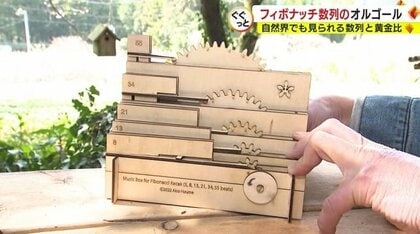 造形作家×フィボナッチ数列　構想から27年で完成させたオルゴール【静岡発】