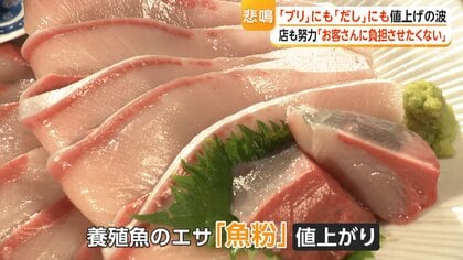 物価高騰の波が“養殖ぶり”にも…エサの“魚粉”も1.3倍超に値上がりラーメン店にも影響　中東情勢や円安が水産業を直撃