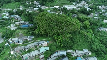 危険と隣り合わせ…取り残される「急傾斜地」　対策工事には“地権者全員の同意”等の高いハードル【長崎発】