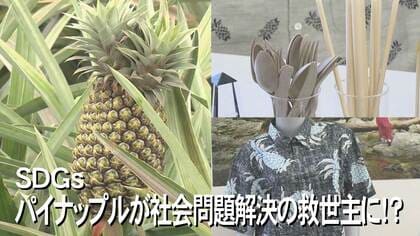 パイナップルの葉っぱや茎が服に変身！？　“廃材”活用でサステナブルな取り組み【沖縄発】