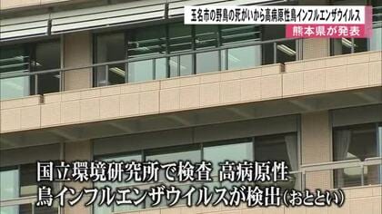 今シーズン県内初　野鳥の死骸から高病原性鳥インフルエンザウイルス【熊本】