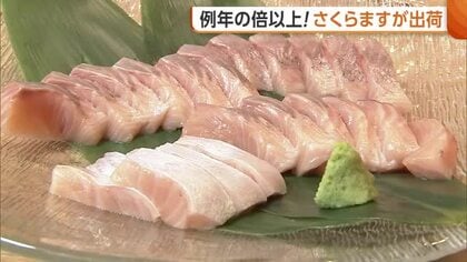 春告げる魚！“佐渡さくらます”の出荷開始「脂がのり口当たり滑らか」 今年は例年の倍以上の出荷量見込む 新潟