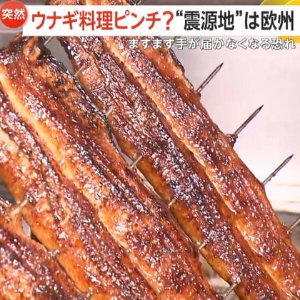 【鰻がピンチ？】「廃業も出てくるんじゃないか」EUがワシントン条約で“ウナギ全種類”の国際取引規制案準備　日本は約7割が輸入依存で価格高騰の可能性も