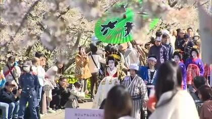 満開の桜並木のもと豪華絢爛な衣装で練り歩く”分水おいらん道中” 独特な歩き方「外八文字」に沿道から拍手　新潟・燕