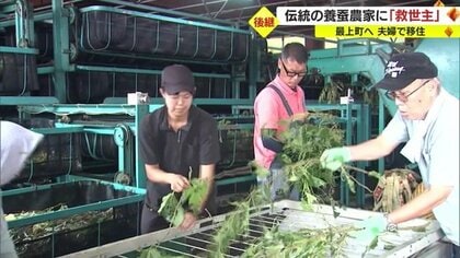 Amazon.co.jp: 昭和恐慌下の農村社会運動―養蚕地における展開と