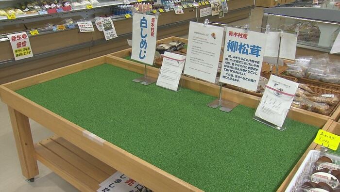 2022年、2021年は9月5日からマツタケが並んでいたが…