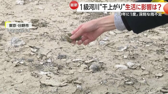 川の底の土を触るとパラパラと崩れた