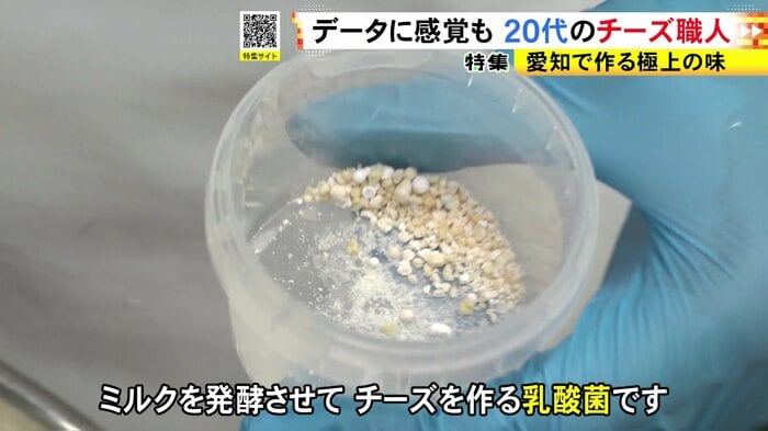 ニュースONE
