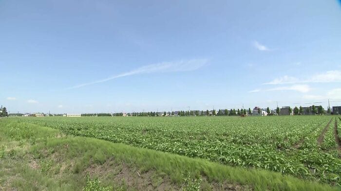 JR恵み野駅東口のすぐそばに広がる土地