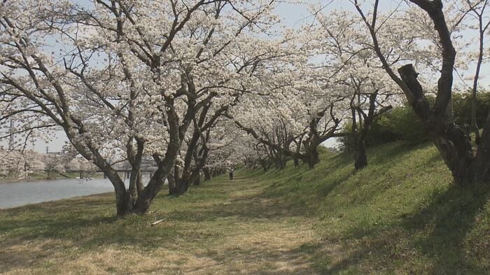 イヌの不審死が相次いだ河川敷（雲南市三刀屋町）