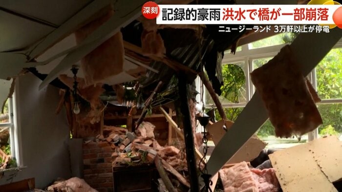 屋根を突き破った倒木