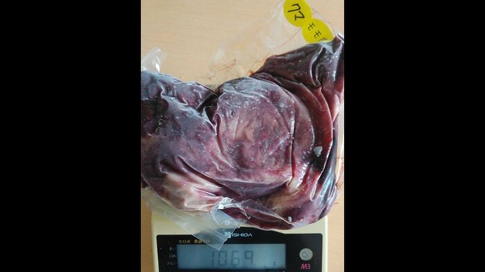 もも肉は1kgで8000円(税込)。真空パックで冷凍した状態で販売