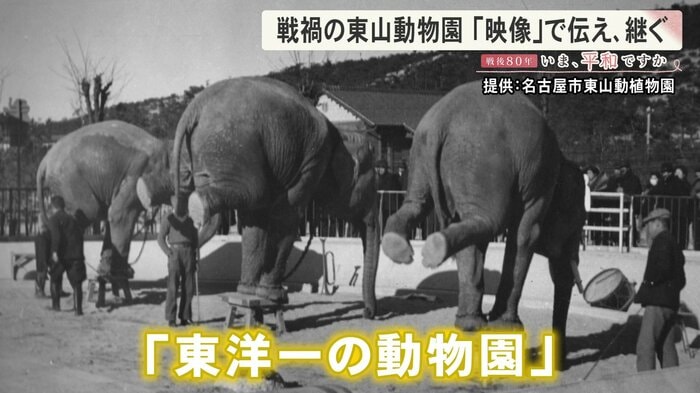 ニュースONE