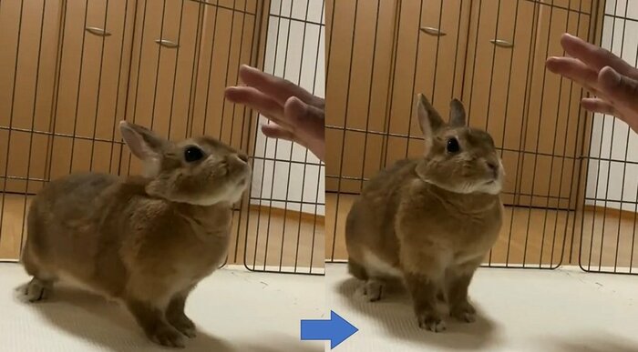 おすわり