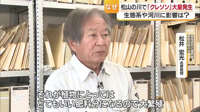 リンや窒素などが植物の栄養に