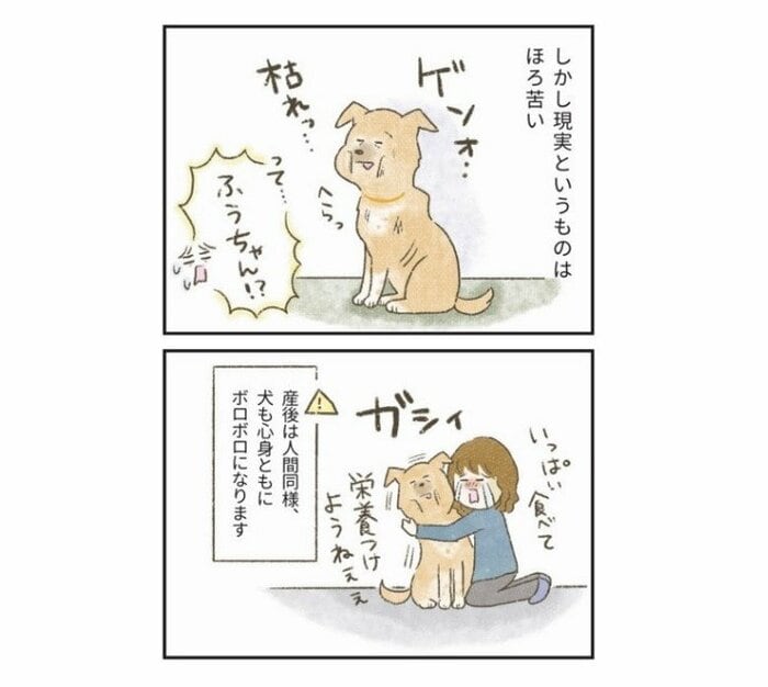 『たまさんちのホゴイヌ2』(世界文化社)より