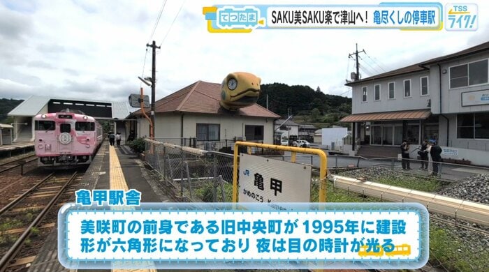 亀甲駅は、駅舎が亀！そのほか、本物の亀がいたり、石像の亀も設置されている。