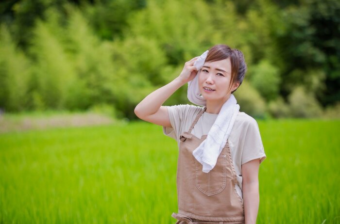 (イメージ)