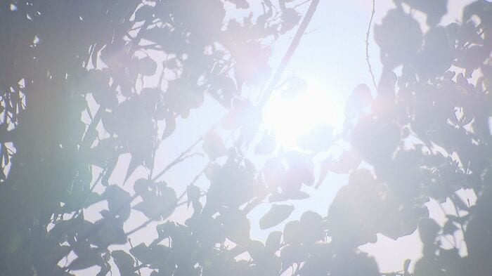 梅雨が明ければ本格的な夏