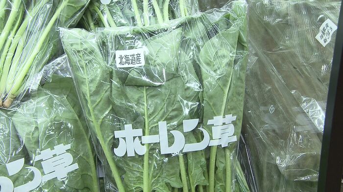 長ネギやホウレンソウは1か月前と比べて10％以上も「値上がり」（※7月時点でのデータ）