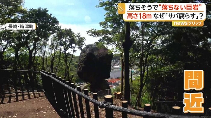 新しい散策路から見ることができる眺望