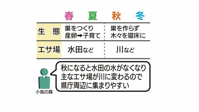 秋冬は寝床やエサ場が変わる