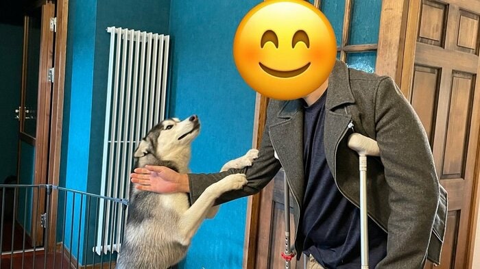 「会いたかった」という気持ちがあふれ出ている