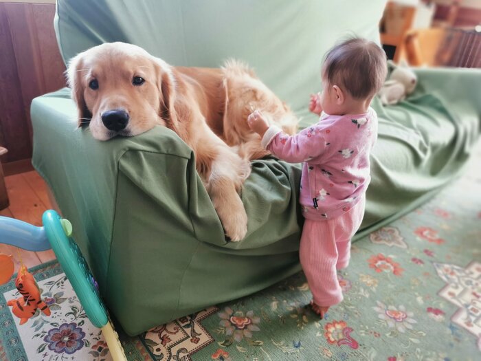 普段のふぉるてくんとベビさん(提供:ふぉるてさん)