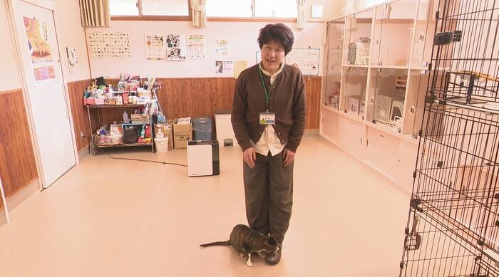 ネコ部員に懐く「マツ」