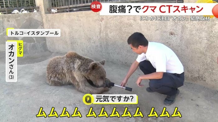 インタビューに答えるオカン(IHA)