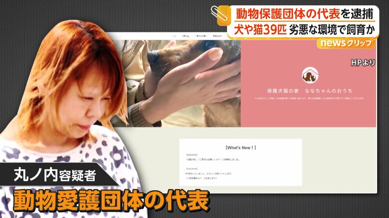 30匹以上の死骸放置…犬や猫39匹に虐待の疑いで動物愛護団体代表の女逮捕 70匹飼っていた時期も…多頭飼育崩壊か 東京・品川区|FNNプライムオンライン
