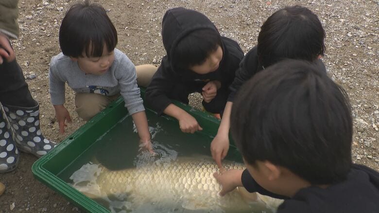 “池の水抜いて”生き物調査　在来種保護のため…“80cm”のコイに子どもは大興奮【福岡発】｜FNNプライムオンライン