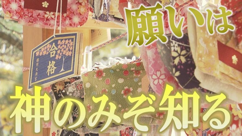 願いは“神のみぞ知る”新時代の絵馬　個人情報保護シールにSNS映えするものも…ご利益は変わらない？｜FNNプライムオンライン