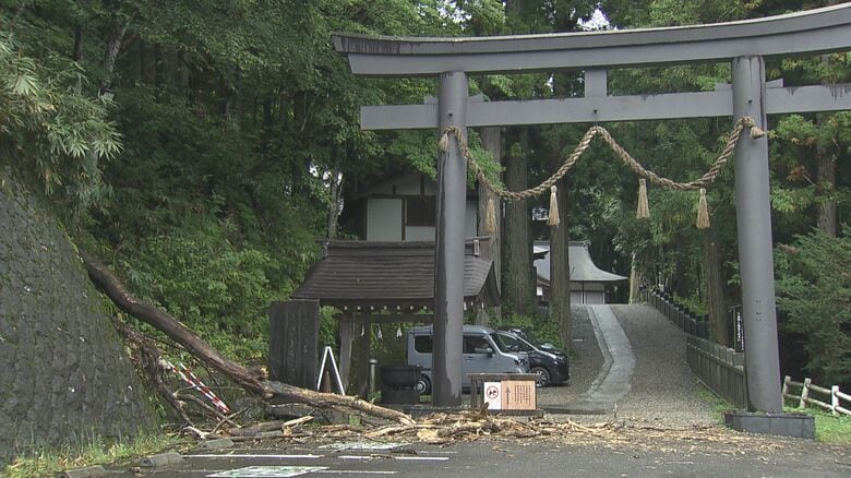 「ドシャーンと雷の音が」人気の観光地・戸隠神社で倒木　オーストラリア国籍の45歳女性が重傷の模様　当時、土砂降りの雨で雷が　倒木は落雷の影響か　長野市｜FNNプライムオンライン