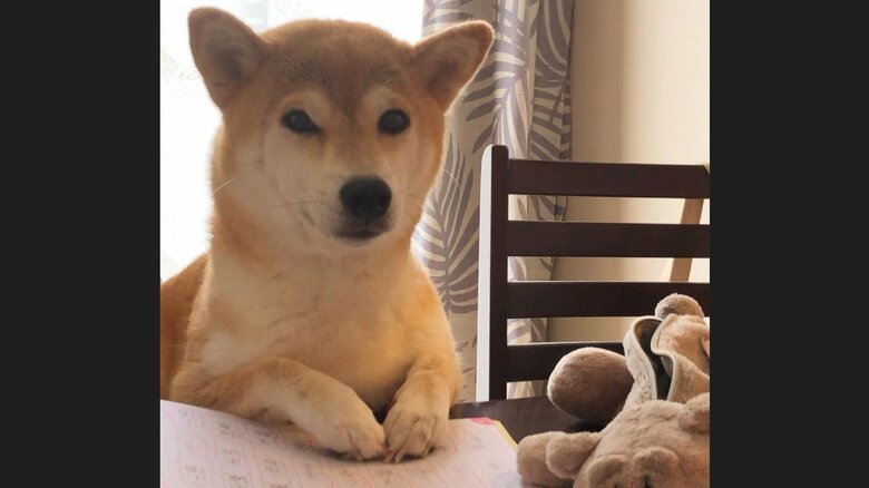 テーブルに手を置くももちゃん