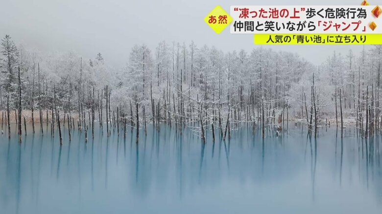 氷が解けると美しいコバルトブルーを見せる「青い池」