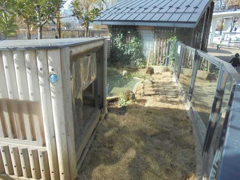 提供:公益財団法人東京動物園協会