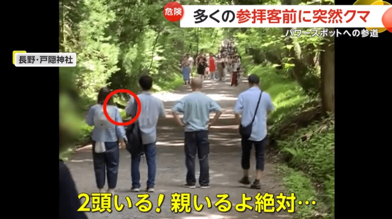 戸隠神社の参道に2頭のクマが現れた瞬間（8月11日、長野市）（6）