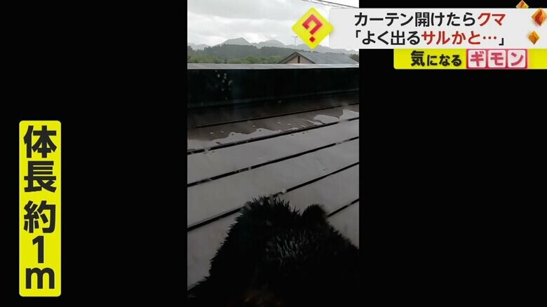 （FNN投稿サイト「ビデオPost」）