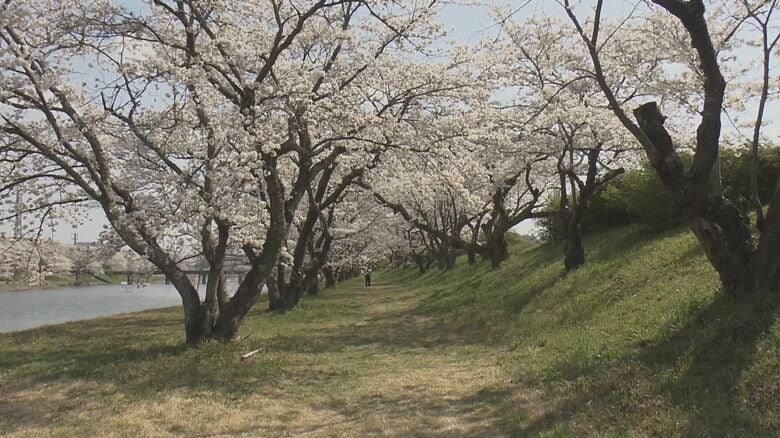 イヌの不審死が相次いだ河川敷（雲南市三刀屋町）